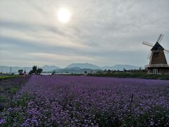 -君乐宝优致牧场