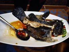 清蒸东星斑-潮福城大酒楼(北尚店)