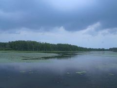 -塞罕坝国家级自然保护区