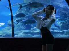 -东湖欢乐水世界