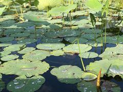 -永定河休闲森林公园