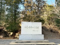 -白水寺森林公园