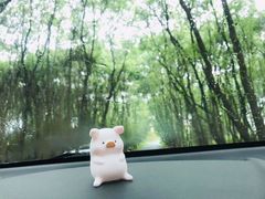 -广富林郊野公园