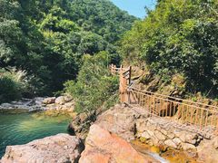 -南海湾森林生态园
