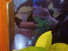 -留芳·文旅古月楼(老街店)