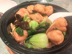 -新雅粤菜馆(南京东路店)