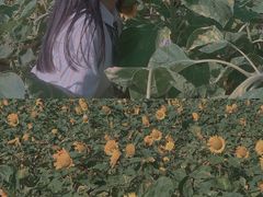 -艾溪湖湿地公园