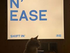 -Shiftin’浮起咖啡 (福保店)