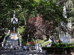 -上海佘山国家森林公园西佘山园