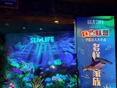 -沈阳海洋探索中心