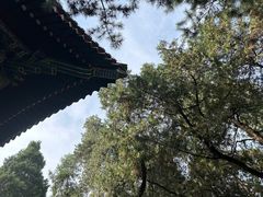 -颐和园