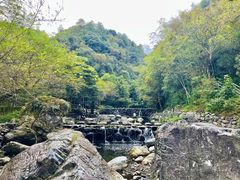 -石台牯牛降景区