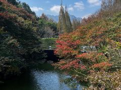 -田野绿世界