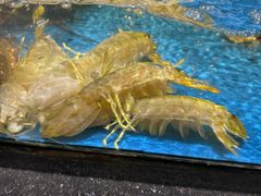 -徐记海鲜(大雁塔|金都店)