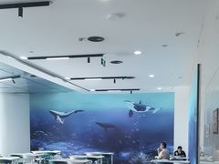 -贝林大翅鲸简餐厅(国家海洋博物馆店)