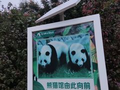 -西安秦岭野生动物园