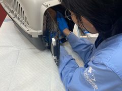-御宝贝24h宠物医院·转诊中心·CT核磁血透中心(厦门总院)