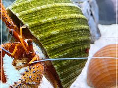 -太平洋海底世界