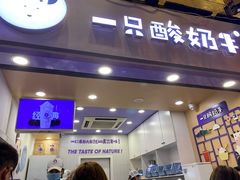 门面-一只酸奶牛(八一路店)