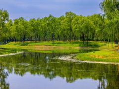 -东郊湿地公园