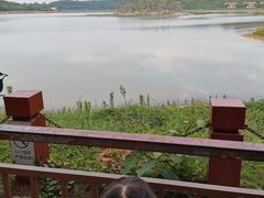 -美的鹭湖森林度假区