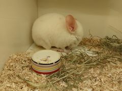 -龙猫仔乐园(惠福东路店)