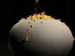 -深圳珠宝博物馆