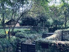 -法云安缦酒店
