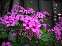 -花迹(富春江东街店)