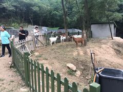-百果山乐享果玩