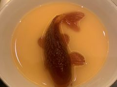 -甄御•海鲜新青岛菜(麦岛店)