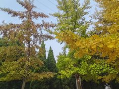 -大连植物园