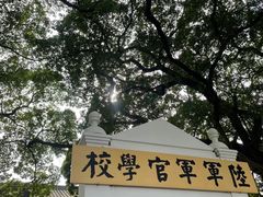 -长洲岛