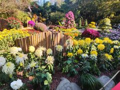 -杭州植物园