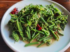 清炒洋瓜尖-云上千禾(水上店)