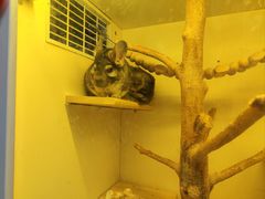 -龙猫仔乐园(惠福东路店)