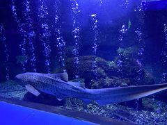 -荆州中山公园动物园