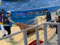 -泉城欧乐堡海洋极地世界