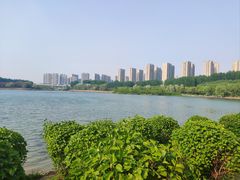 -丁香湖公园
