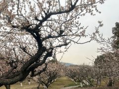 -白马涧龙池景区