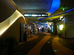 -万达影城(汉街万达广场IMAX店)