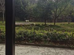 -杭州野生动物世界