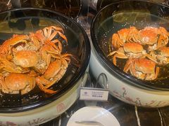 -百香自助餐厅·西安唐隆国际酒店(曲江店)
