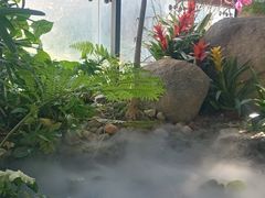 -厦门园林博览苑