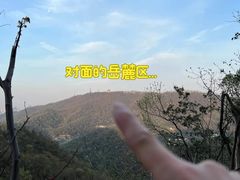-桃花岭景区