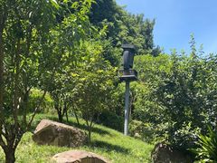 -乌山风景区