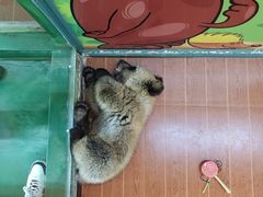 -杭州野生动物世界