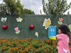 -菊园百果园