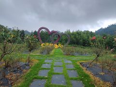 -黄陂区野村谷景区