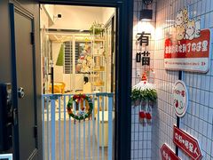 -有喵·猫咖·狗咖·40+猫狗有小奶狗(岗厦店)